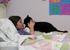 кот и девочка кот и девочка