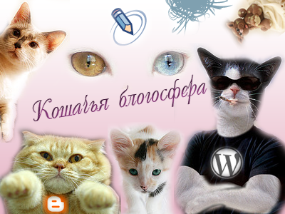Конкурс "Кошачья блогосфера" Конкурс "Кошачья блогосфера"