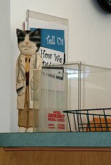 doctor-cat doctor-cat