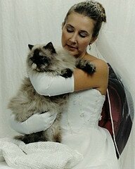 bride-and-cat bride-and-cat