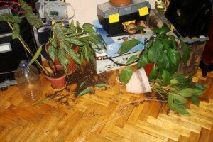 d0b1d0b0d180d0b4d0b0d0ba d0b1d0b0d180d0b4d0b0d0ba