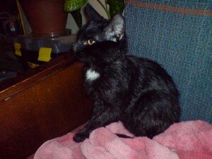 d0bcd0bed0bad180d18bd0b9 d0bcd0bed0bad180d18bd0b9