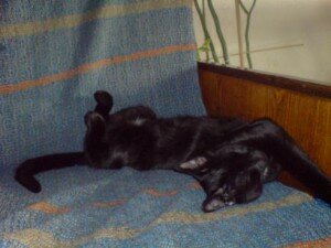 d182d180d0b8d0bad181 d182d180d0b8d0bad181