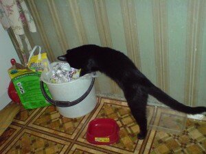 Трикс Трикс