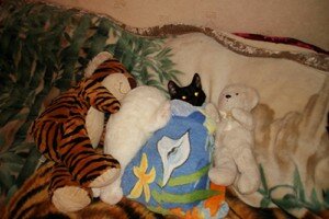 Трикс Трикс