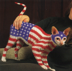 кот-американец