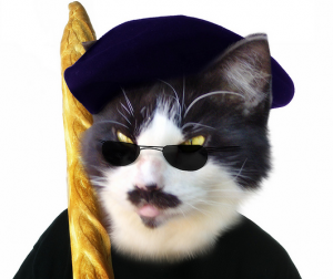 кот угадай кто кот угадай кто