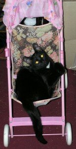 Трикс Трикс