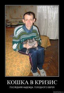 демотиваторы кошки демотиваторы кошки