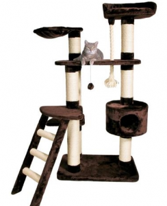 домики для кошек картинки