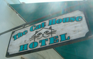 гостиница для кошек