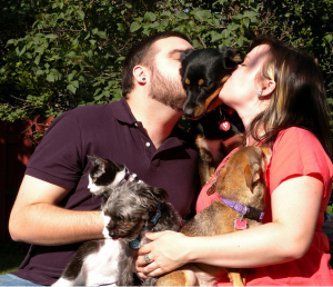 собачники и кошатники