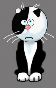 стандарт породы мейн-кун