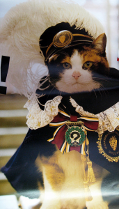 кошки знаменитых людей