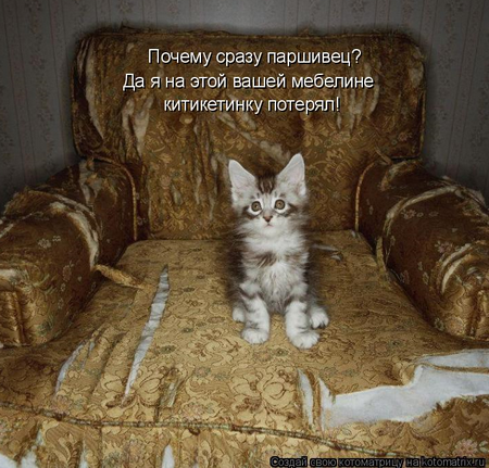 котоматрицы котята котоматрицы котята