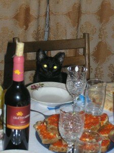 кошки в новый год