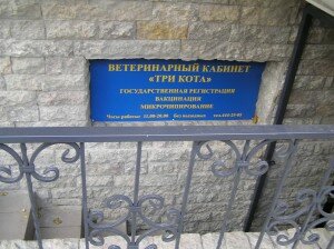 ветклиника три кота
