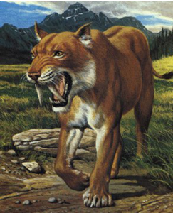 вымерший саблезубый тигр