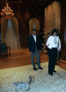 кот дорофей