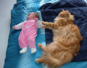 ребенок и кошка