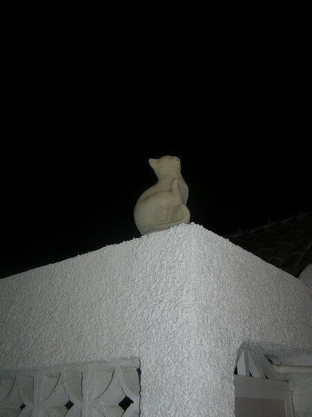 кошка на заборе кошка на заборе