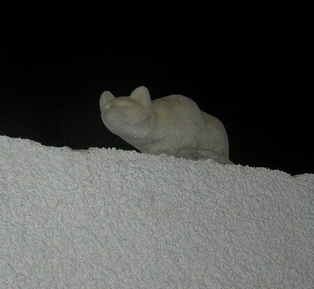 кошка на заборе кошка на заборе