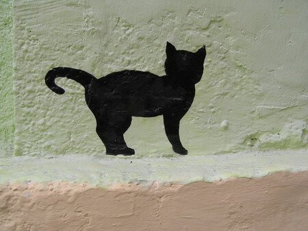 кошка на стене кошка на стене