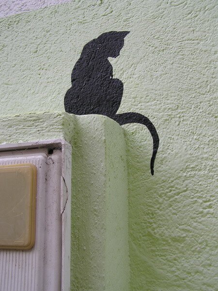 кошка на стене кошка на стене