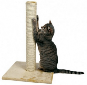 уход за когтями кошки