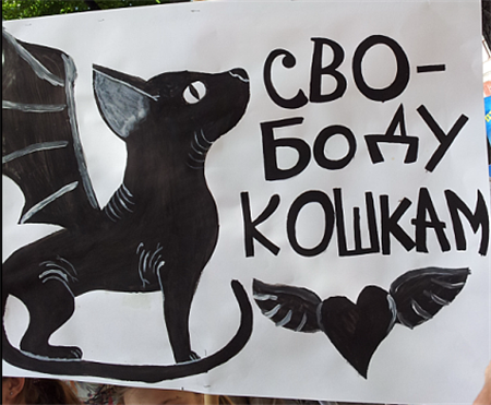 день петербургского кота день петербургского кота