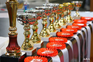 выставка кошек