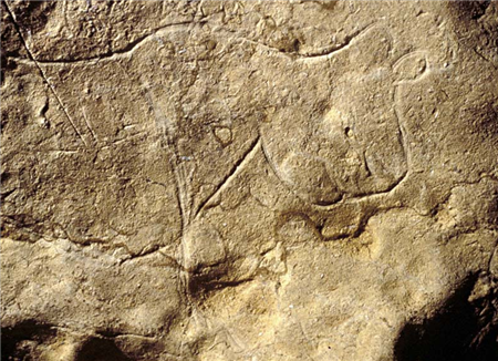 наскальные рисунки кошек наскальные рисунки кошек