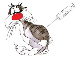 кровь в моче у кошки