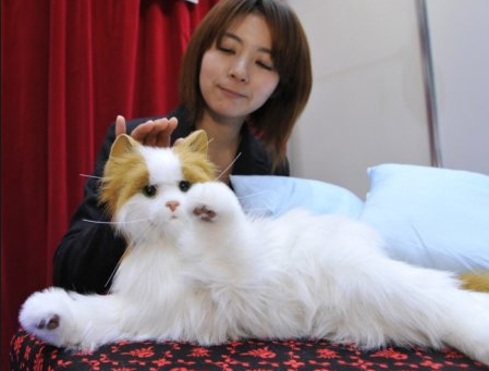 робокошка робокошка