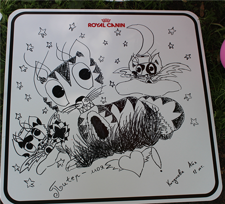 день петербургского кота день петербургского кота