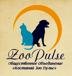 приют для кошек костанай